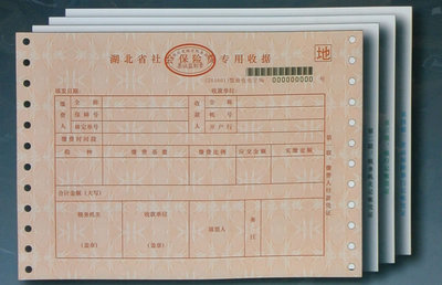 湖北省社会保险费专用收据